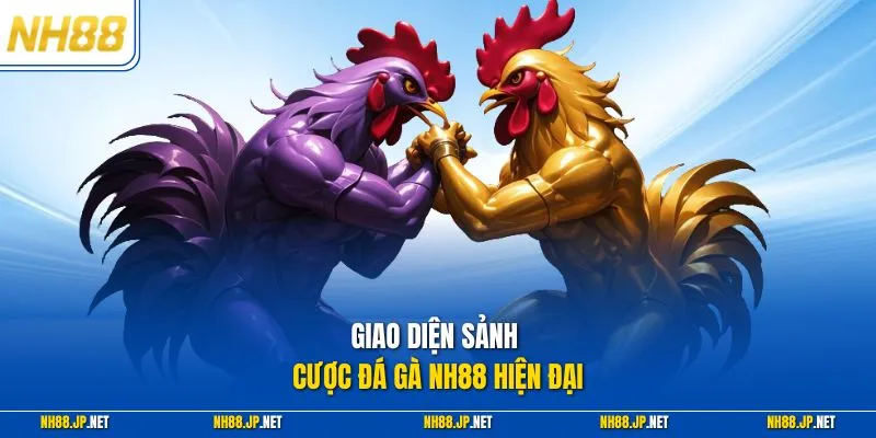 Giao diện sảnh cược đá gà NH88 hiện đại