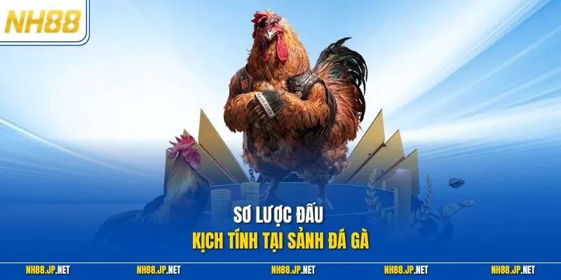 Sơ lược đấu kịch tính tại sảnh đá gà