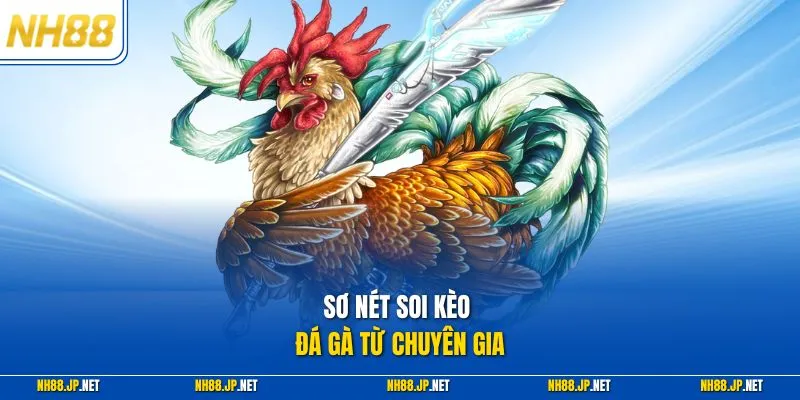 Sơ nét soi kèo đá gà từ chuyên gia